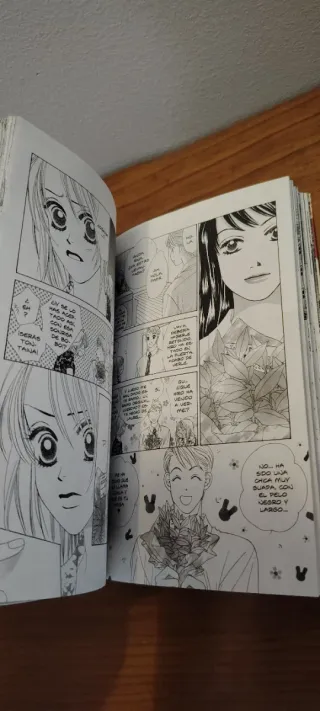 Fiebre de Amor vol.4 de Kaho Miyasaka