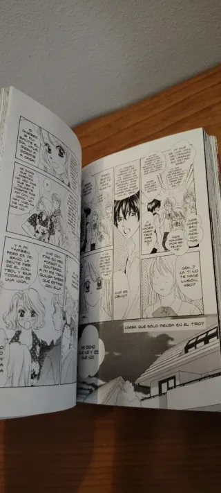 Fiebre de Amor vol.4 de Kaho Miyasaka