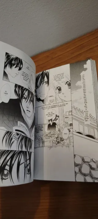 Fiebre de Amor vol.4 de Kaho Miyasaka