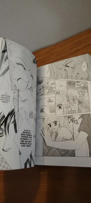 Fiebre de Amor vol.4 de Kaho Miyasaka