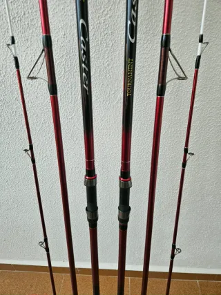 Cañas y carretes Daiwa y Shimano