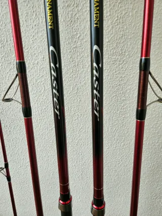 Cañas y carretes Daiwa y Shimano