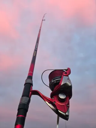 Cañas y carretes Daiwa y Shimano