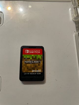 Minecraft per Nintendo Switch