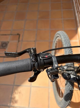 Bicicleta Focus Black Forest Talla L 29”