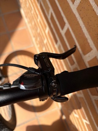 Bicicleta Focus Black Forest Talla L 29”