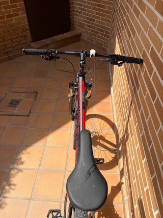 Bicicleta Focus Black Forest Talla L 29”