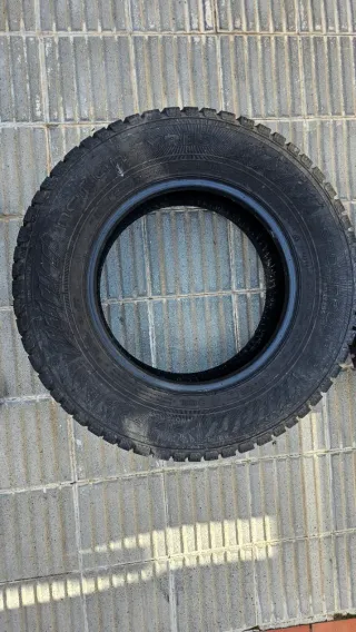 Neumático Nokian Snowproof C 215/70 R15