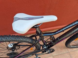 Bicicleta GIANT MTB Temp