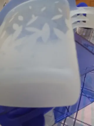 2 Contenitori con Base Blu