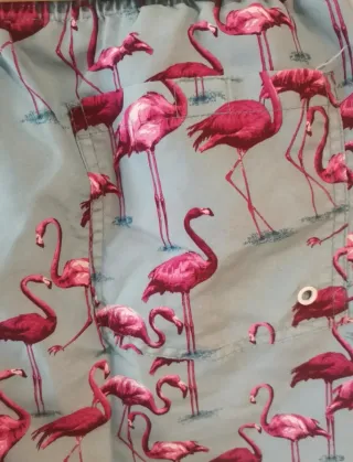 Bañador Gables XL Flamencos Azul