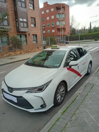 LICENCIA DE TAXI MADRID