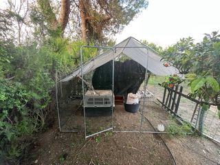 Gallinero y caseta para exterior