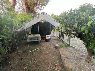 Gallinero y caseta para exterior