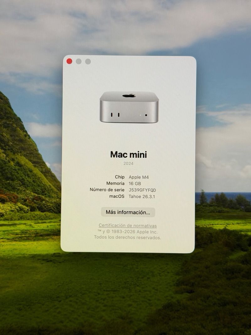 Mac mini M4 - 16GB RAM - 256GB SSD afbeelding 4