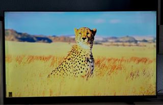 TV Philips 4K UltraHD 55’ DolbyAudio