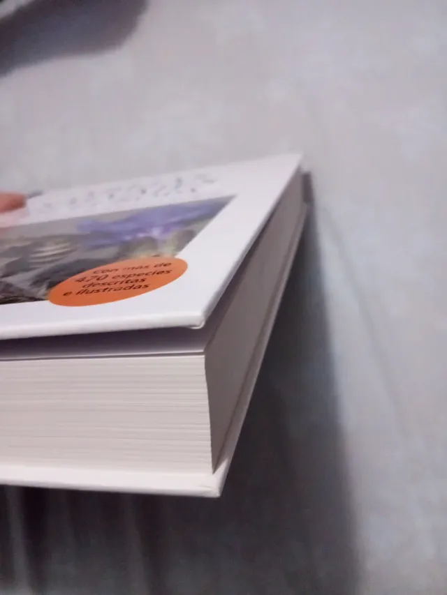 ABEJAS SALVAJES DE EUROPA