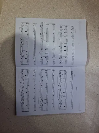 SIERRA - Musical Language for Singing Vol.1 (WI...