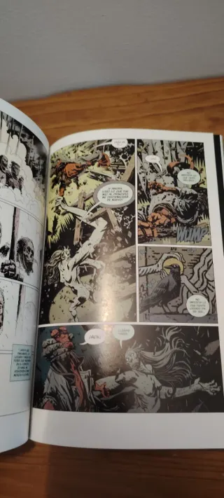 Hellboy La Tormenta y la Furia