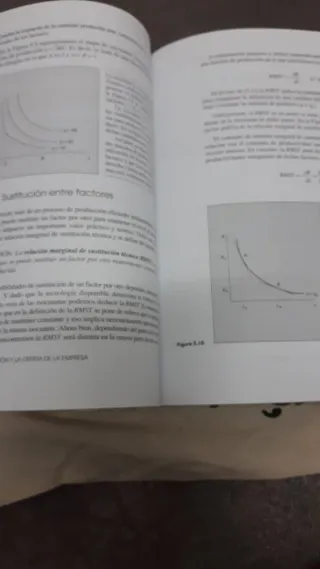 Microeconomía Intermedia 2 Curso ADE UNED