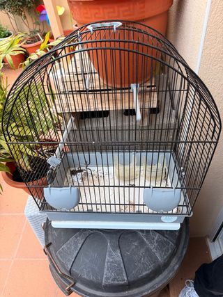 Jaula para pájaros negra y gris gabia