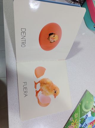 Lote Libros pipa y tolo