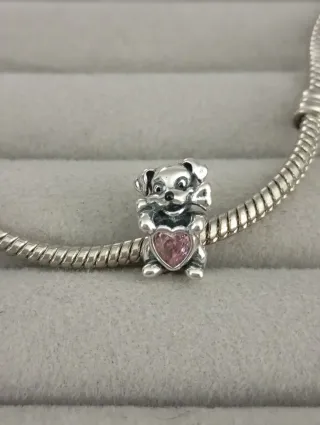 Charm cachorro perro