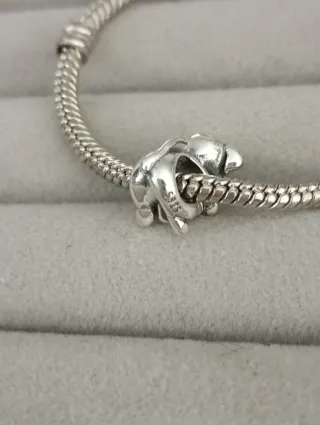 Charm cachorro perro