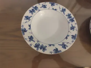 Vajilla Vista Alegre Porcelana Azul y Blanca