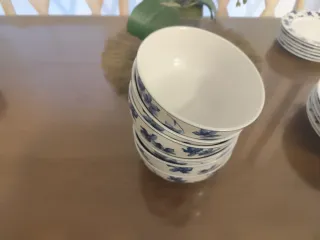 Vajilla Vista Alegre Porcelana Azul y Blanca