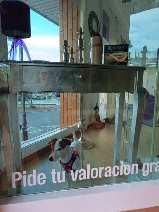 Estética local Torredembarra (Tarragona)traspaso