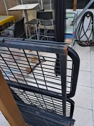 Parque para perros metálico negro