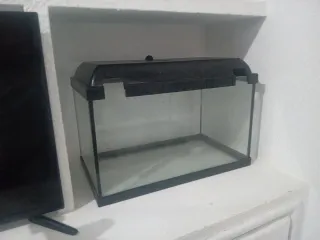 Acuario/Terrario Negro y Transparente