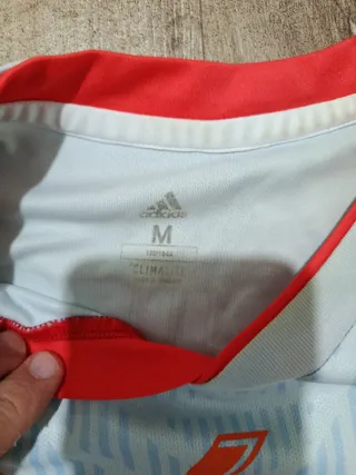 Camiseta España Iniesta 6 talla M