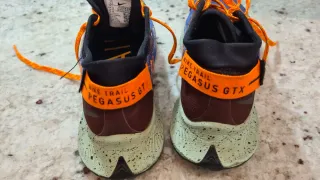 Nike Pegasus Trail GTX goretex running