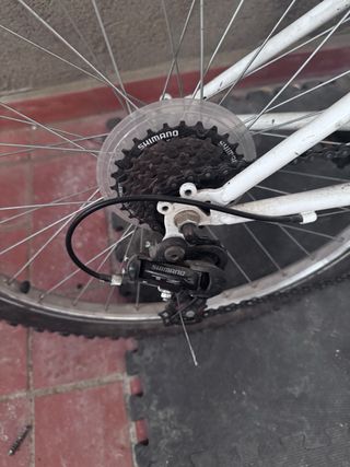 Bicicleta MTB Oregon Cadete Rueda 24