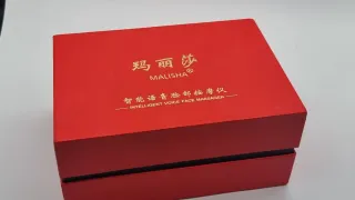 Masajeador facial MALISHAN