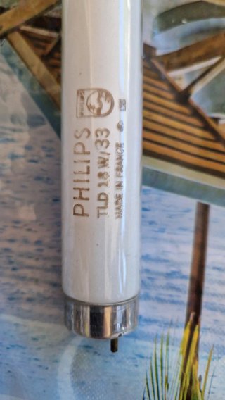 Tubi Neon Philips Varie Misure