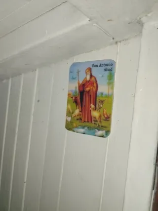 Caseta de perro hecha a mano