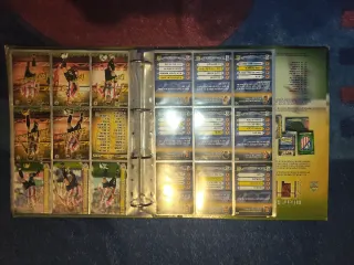 Álbum Cromos fichas Liga 2010 Mundicromo