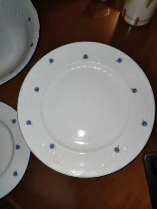 Platos Porcelana Santa Clara Flores Azules