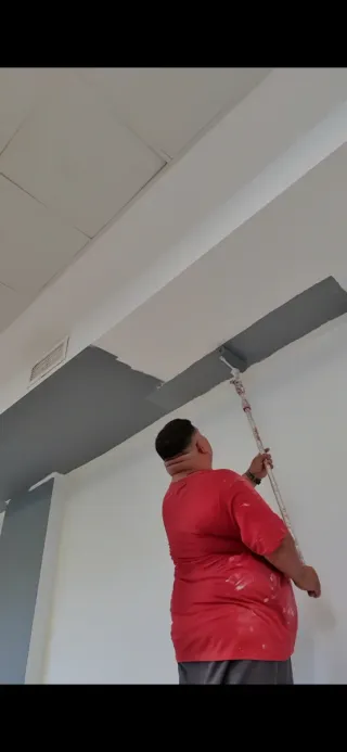 Pintor profesional para todo tipo de pintura