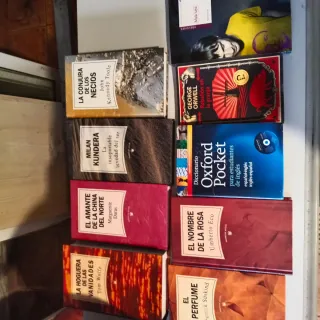Lote de 8 libros en español