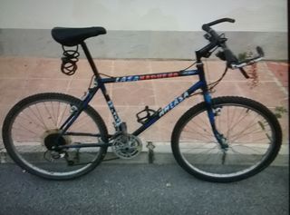 Bicicleta de montaña LASAÑADUEÑO