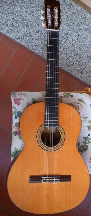 Chitarra Classica Privada modello P5