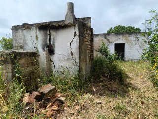 PARCELA SEGREGADA EN CHICLANA
