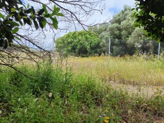 PARCELA SEGREGADA EN CHICLANA