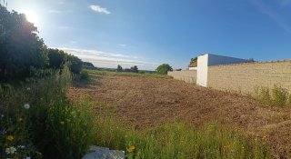 PARCELA SEGREGADA EN CHICLANA