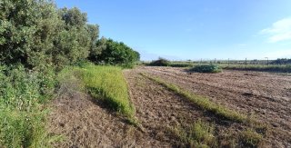 PARCELA SEGREGADA EN CHICLANA