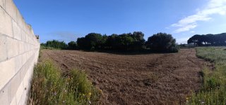 PARCELA SEGREGADA EN CHICLANA